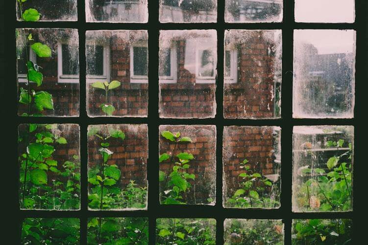 Mould Prevention