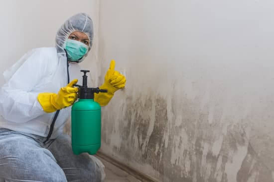 Mould Removal Brisbane - Experienced Experts Best in Brisbane